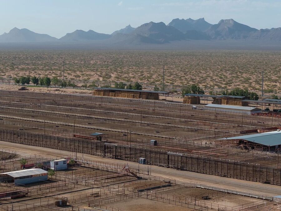 empty cattle yard new world screw worm invasive parasite