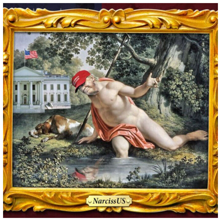 Narcissus DJT