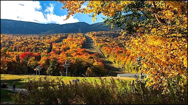 Autumn