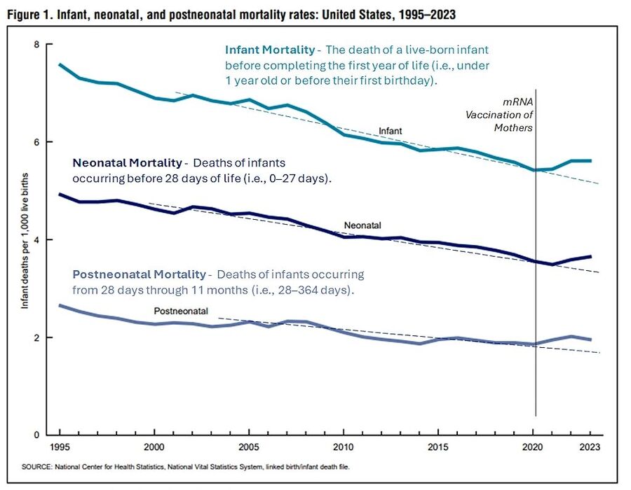Click to enlarge infant mortality vaccinations mrna