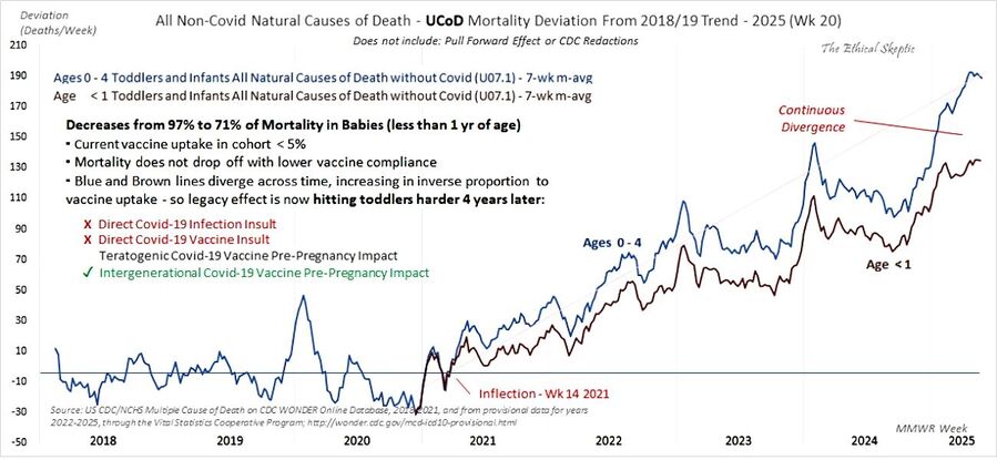 Click to enlarge child mortality vaccine uptake mothers pregnancy