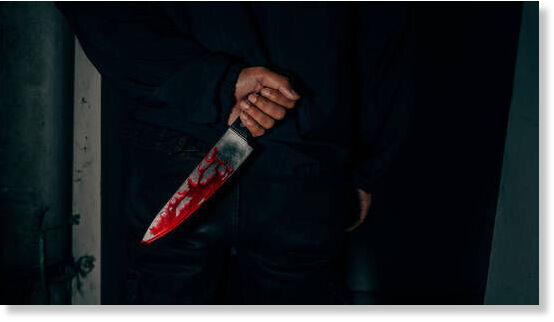Click to enlarge Iryna Zarutska killed