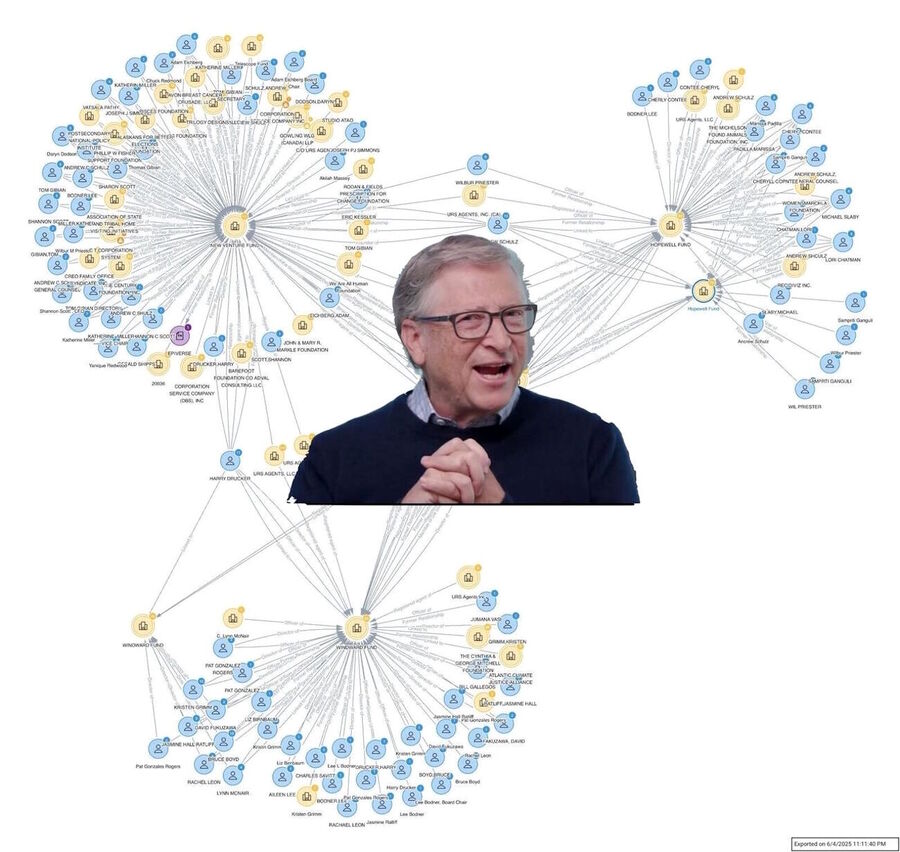 bill gates funding arabella network ngos far left