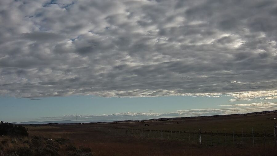 Click to enlarge chile wildlife camera mysterious lights patagonia