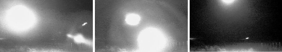 Click to enlarge chile mystery lights wildlife camera