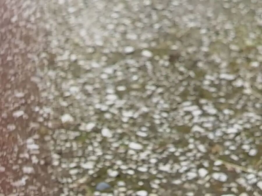 Click to enlarge rain on pavement