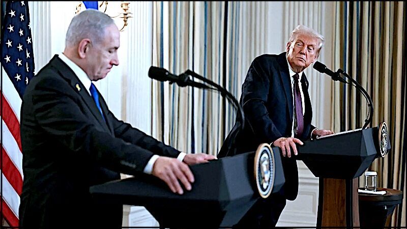 Click to enlarge Neti and Donald