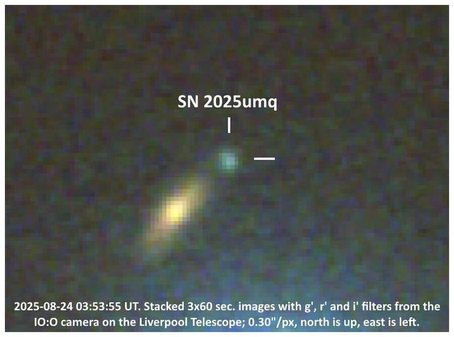 Click to enlarge Supernova SN 2025umq