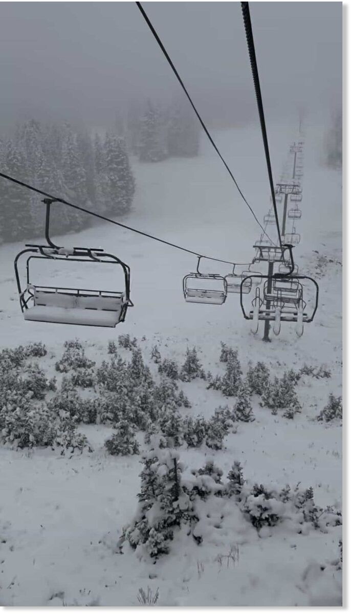 Brighton. | Photo: Brighton Resort
