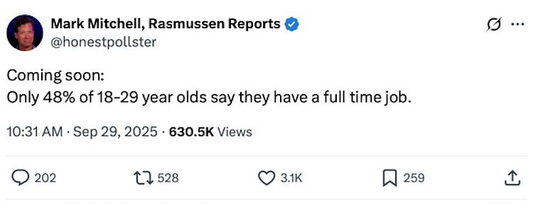rassmussen tweet jobless rate young adults