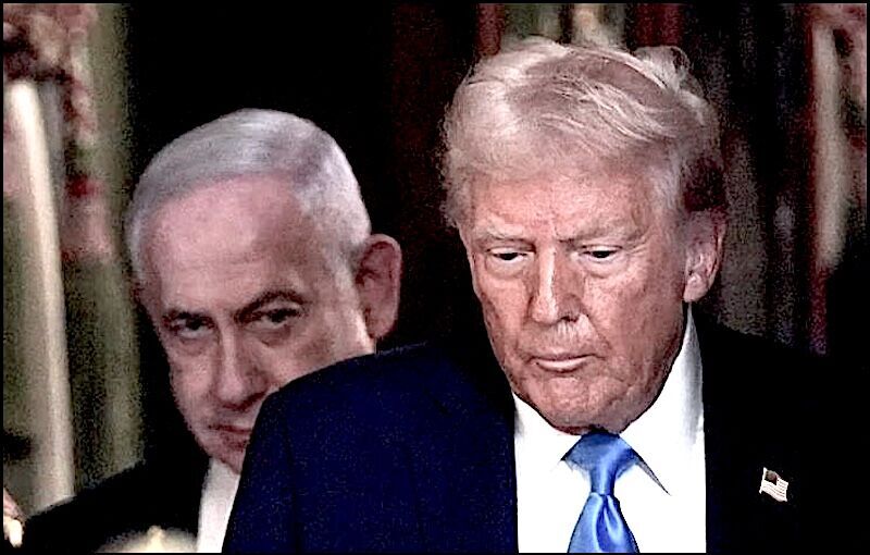 TrumpNeti
