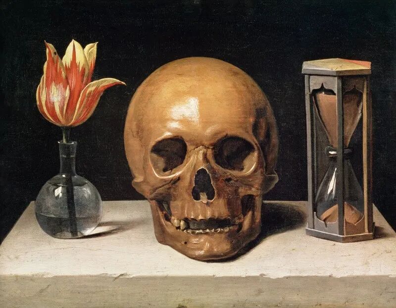 Skull