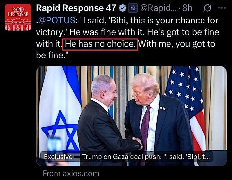 rapid response Neti Don