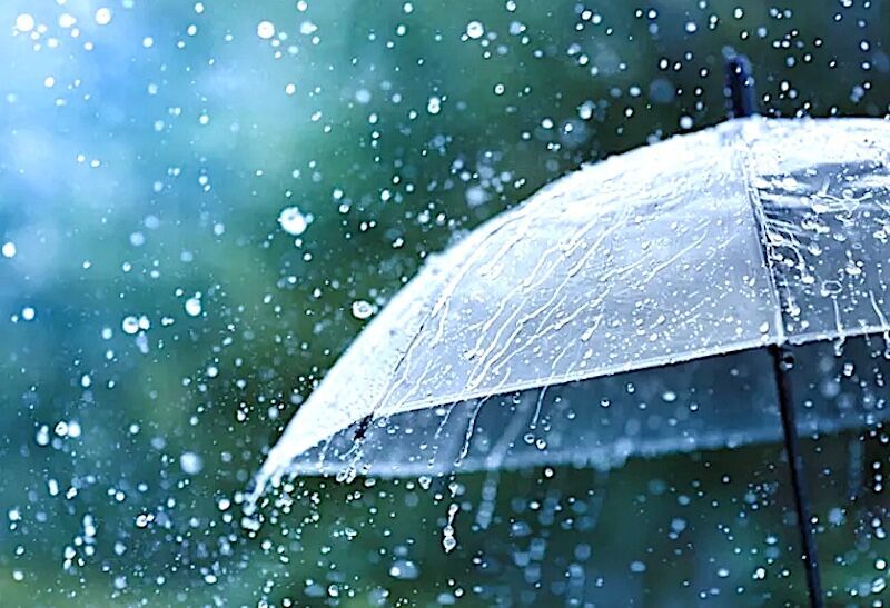 Rain and umbrella