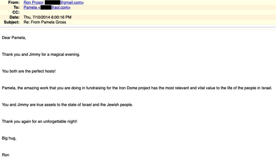 Click to enlarge proser pamela gross cnn idf fundraiser