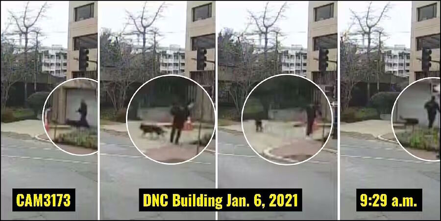 Click to enlarge k-9 unit jan 6 pipe bomb investigation surveillance footage