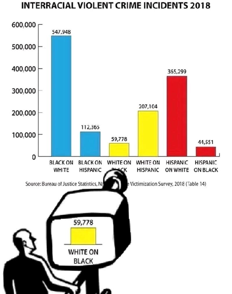 Click to enlarge political cartoon propaganda race violence