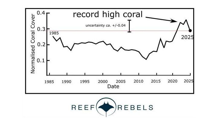 Click to enlarge Reef Rebels