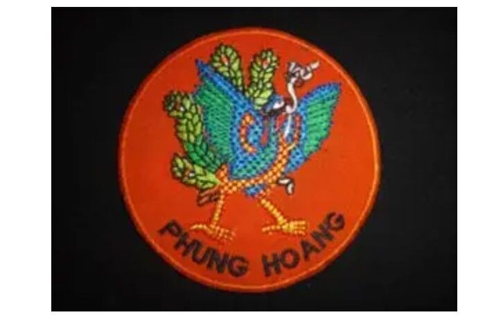 Vietnam war patch for the CIA Phoenix Patrol Program