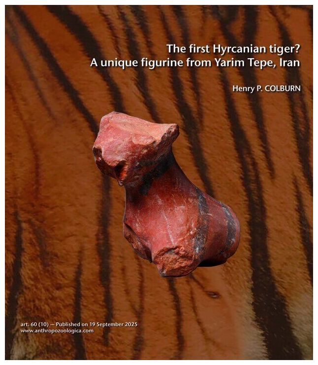 Click to enlarge Tiger Artifact