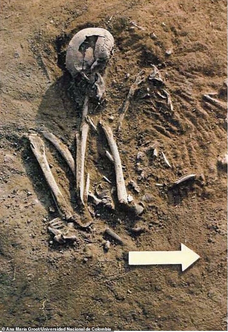 Click to enlarge columbia dna mystery no descendents skeletons