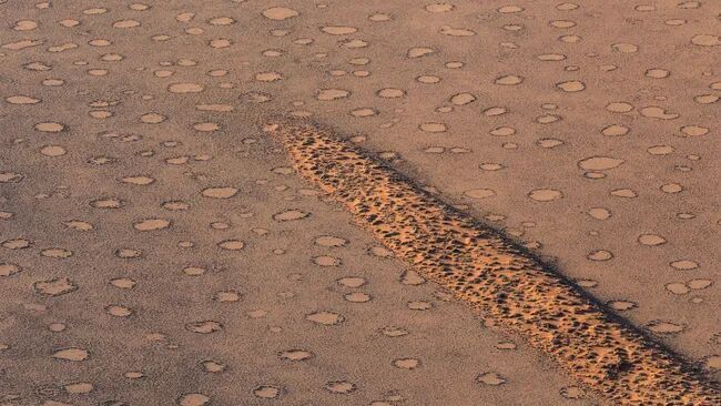 Click to enlarge Namibia's fairy circles