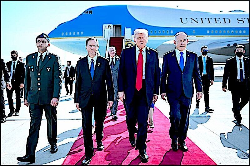 TrumpNeti jet plane