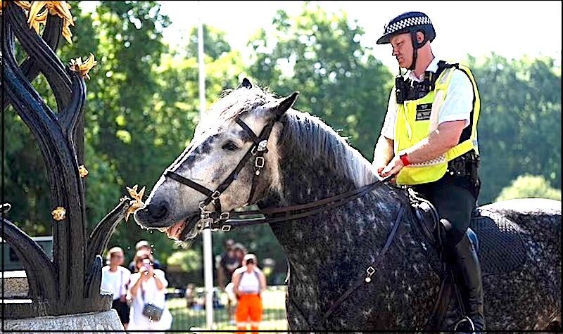 Click to enlarge mounted officer