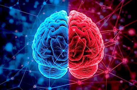 Professors' study disputes long-standing claim conservatives are more rigid thinkers