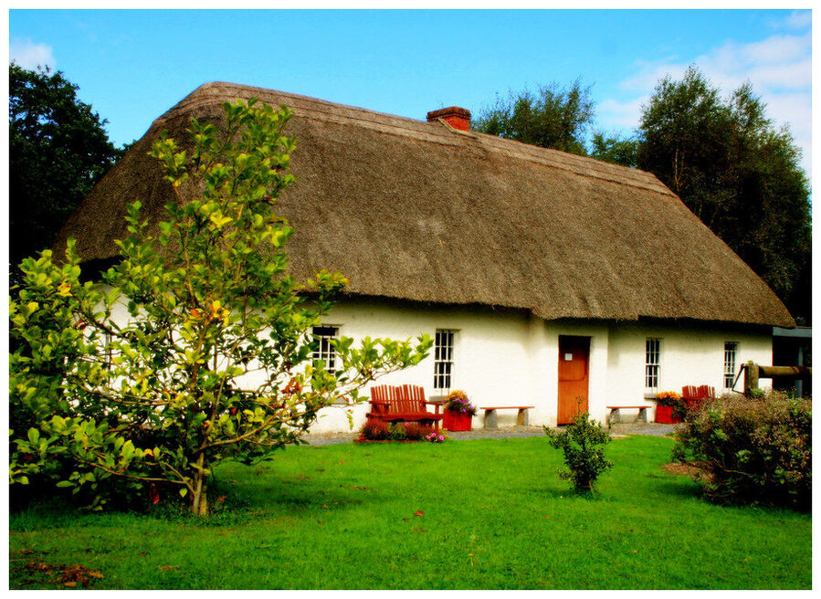 Irish House