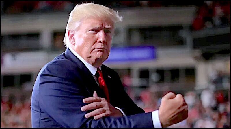 Trump fist