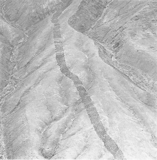 Study suggests mysterious holes in the Andes may have been an ancient marketplace