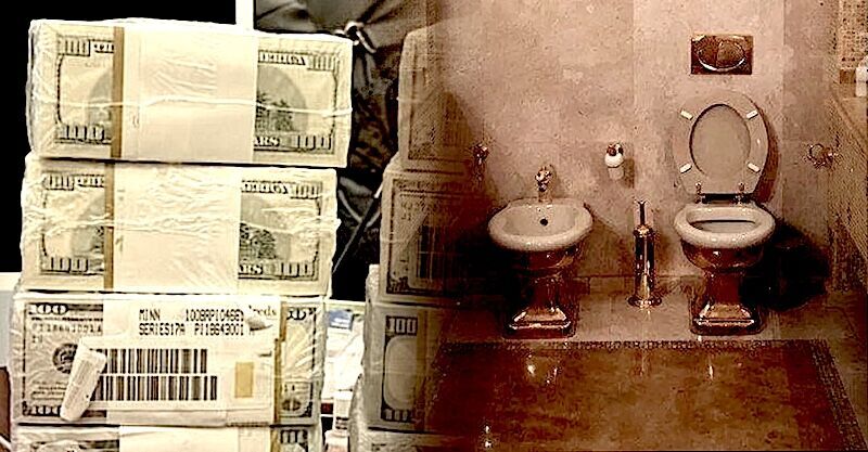 Click to enlarge MoneyToilet