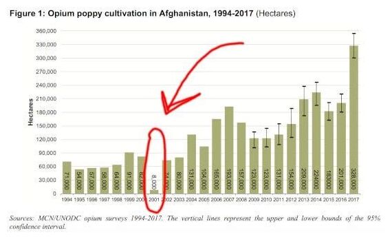 Click to enlarge Opium Cultivation