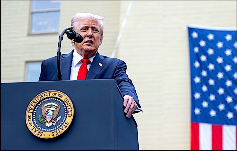 Trump/Flag