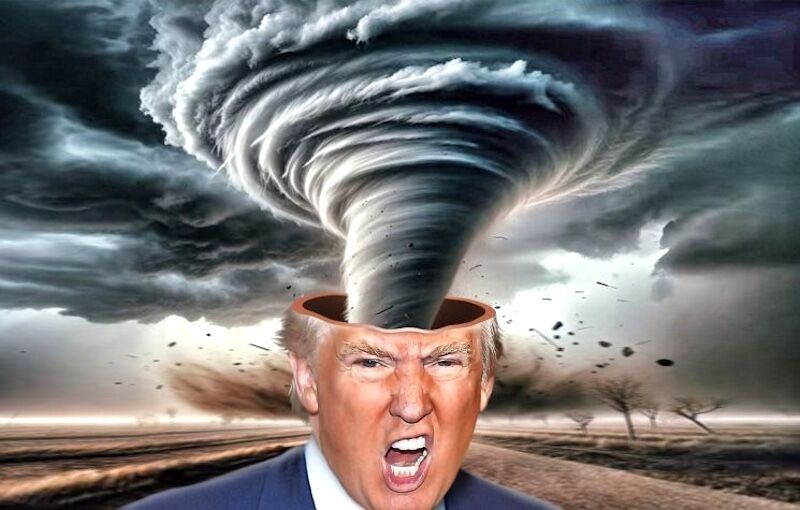 Brain storm