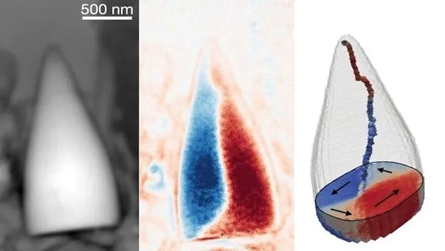 fossil magnetic navigation