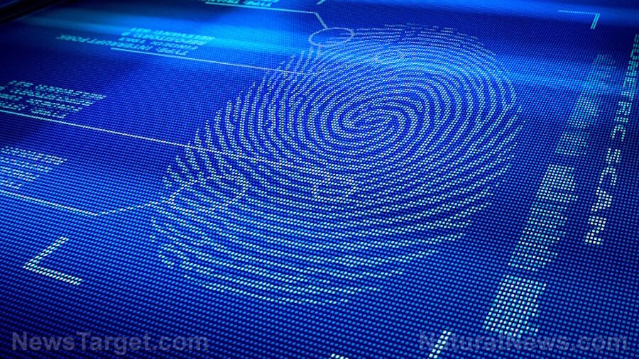 Click to enlarge digital identity fingerpring graphic