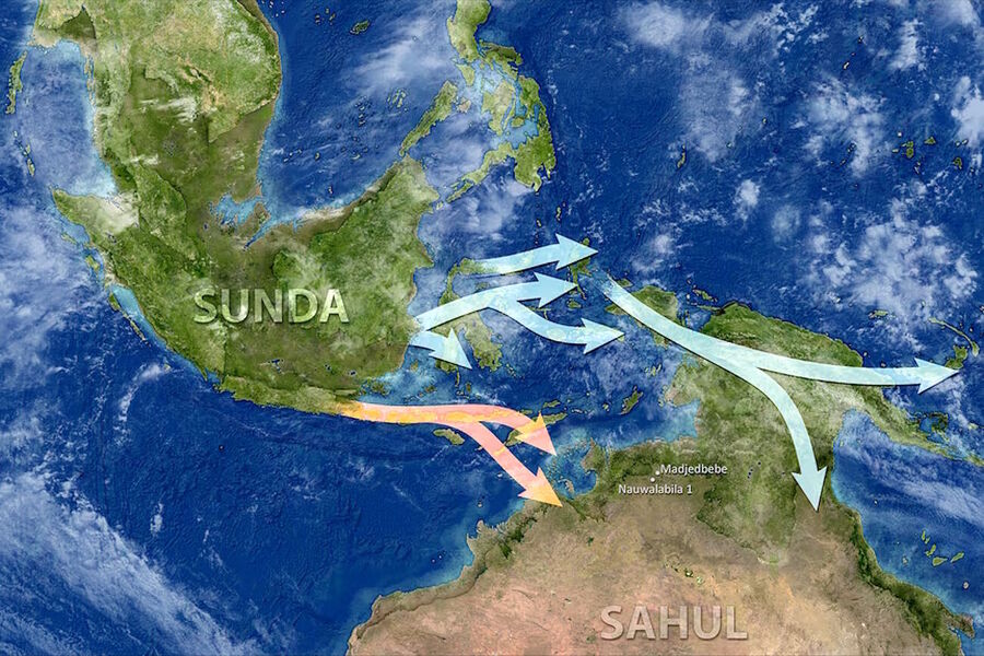 genetics aborigine migration indonesia australia