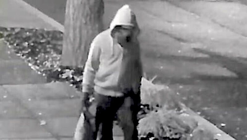 Click to enlarge pipebomb suspect