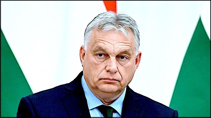 Click to enlarge Orban