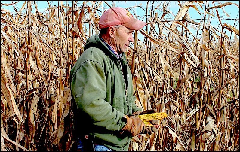 Farmer