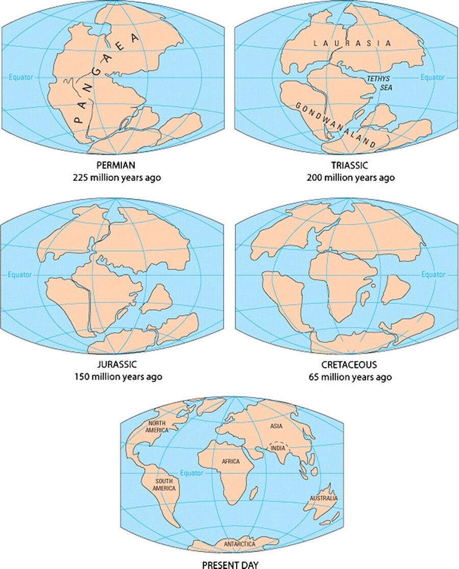 Click to enlarge pangea plate techtonics continental drift