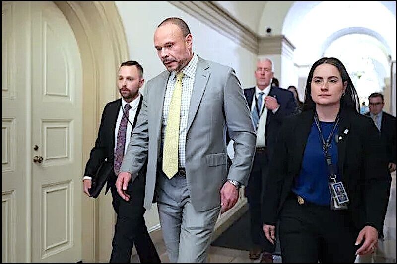 Click to enlarge Dan Bongino