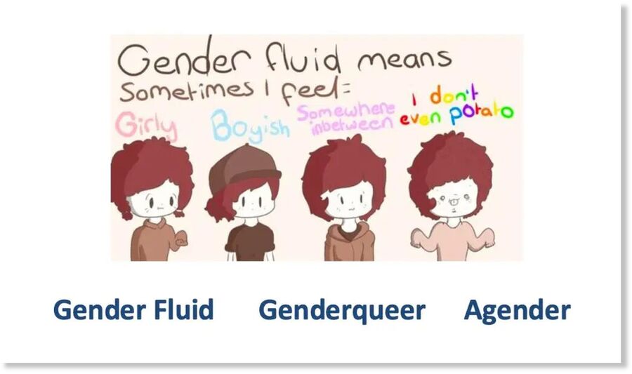 gender fluid