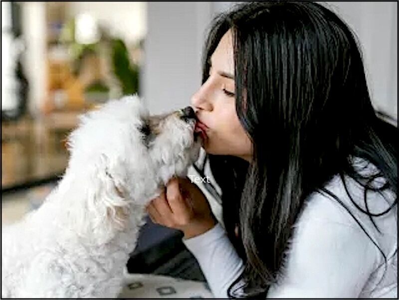 Girl and Dog kissy