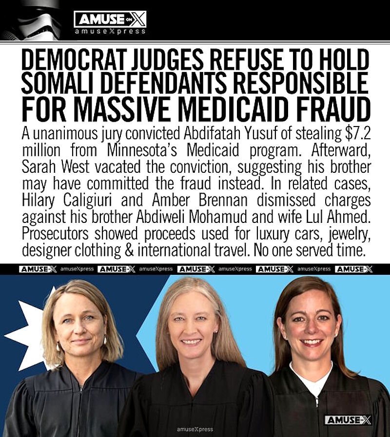 Click to enlarge democrat judges somali fraud minnesota