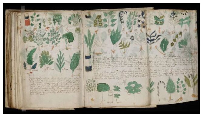 The Voynich manuscript