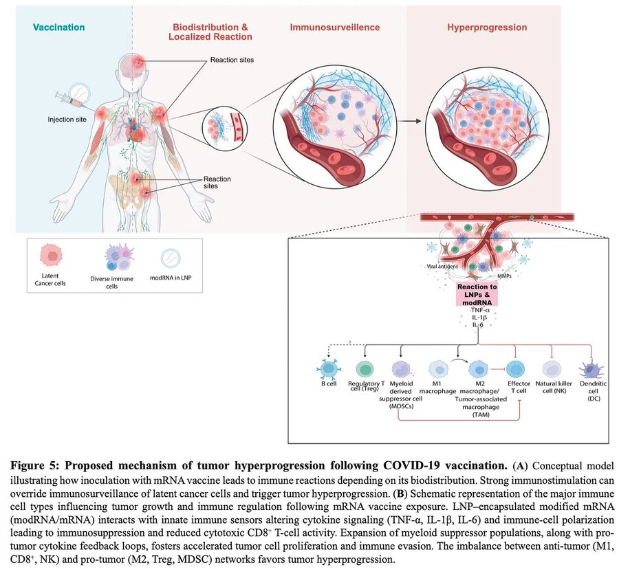 Click to enlarge cancer mechanisms covid-19