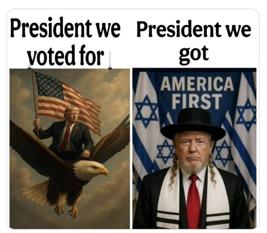 Click to enlarge DJT Memes